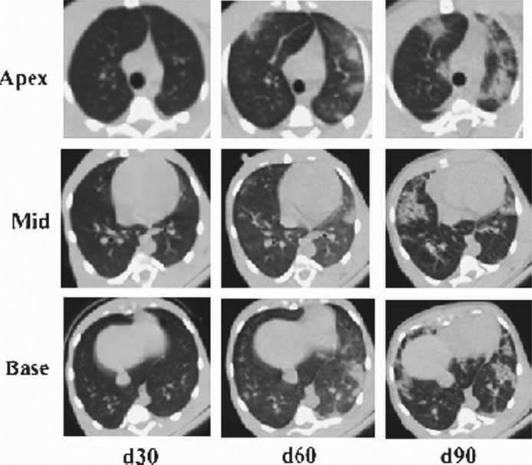 Fig. 14