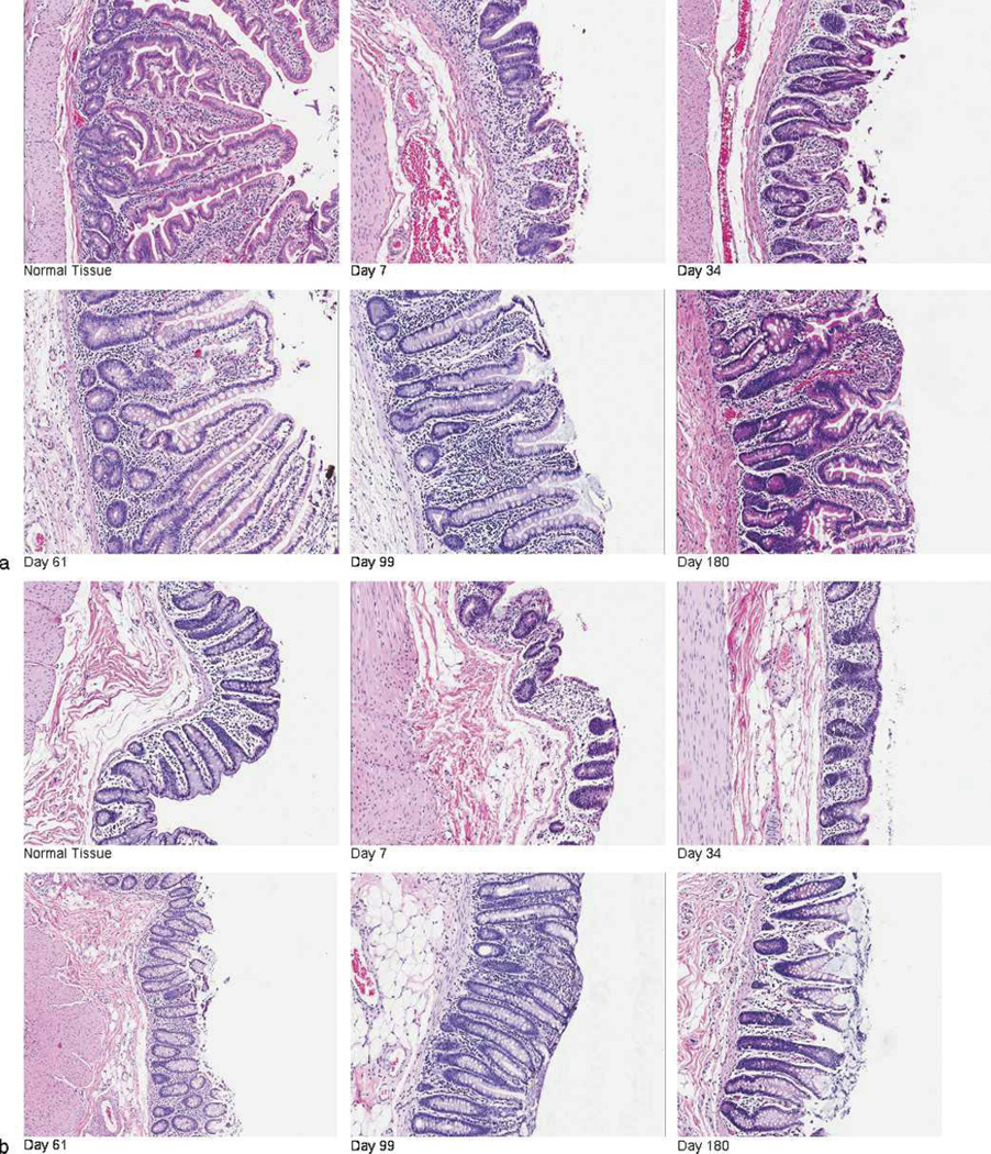 Fig. 8