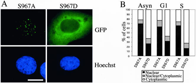 Figure 10.