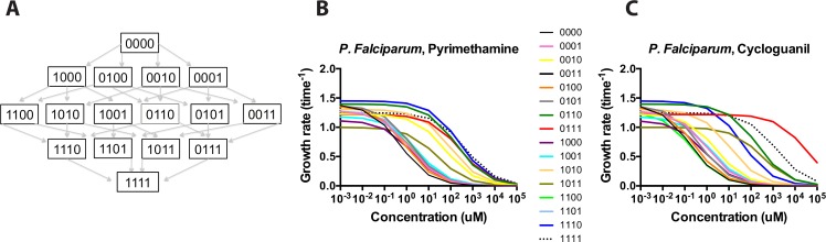 Fig 1