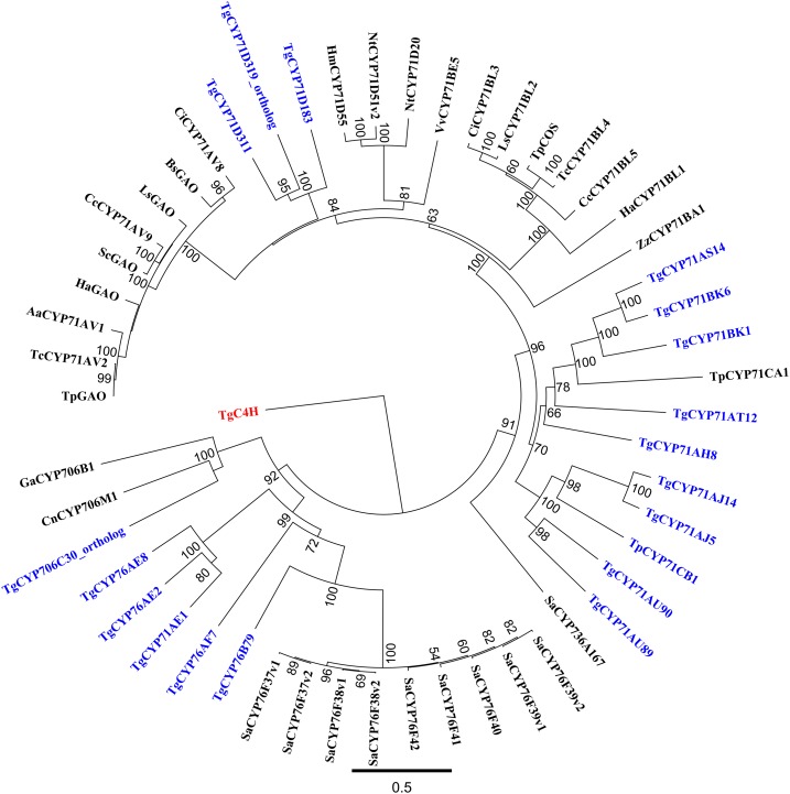 Figure 2.