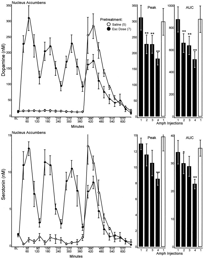 Fig. 10.