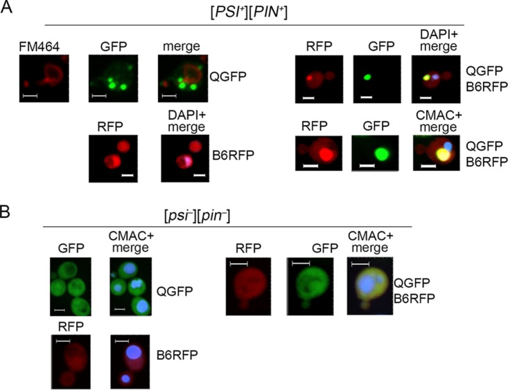 FIG 3