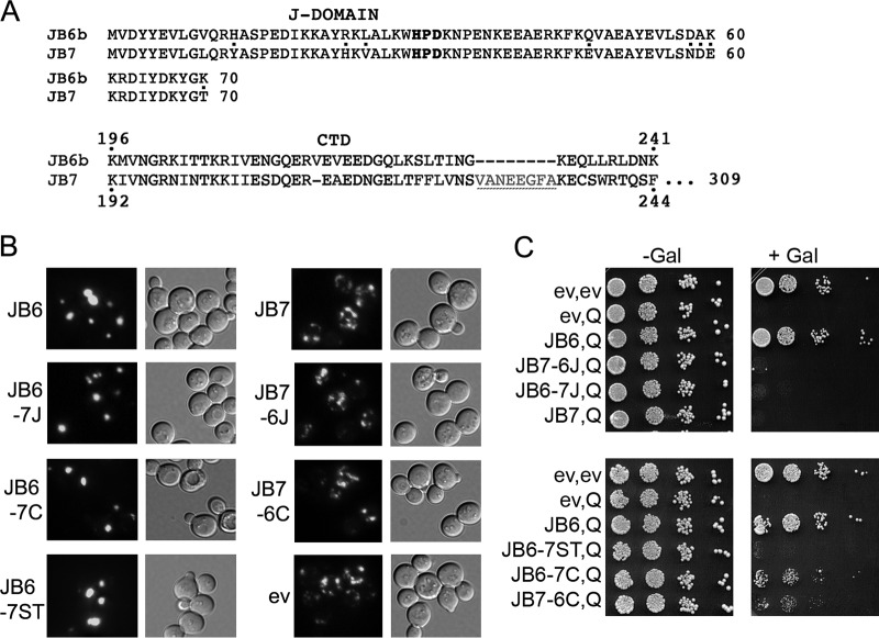 FIG 6