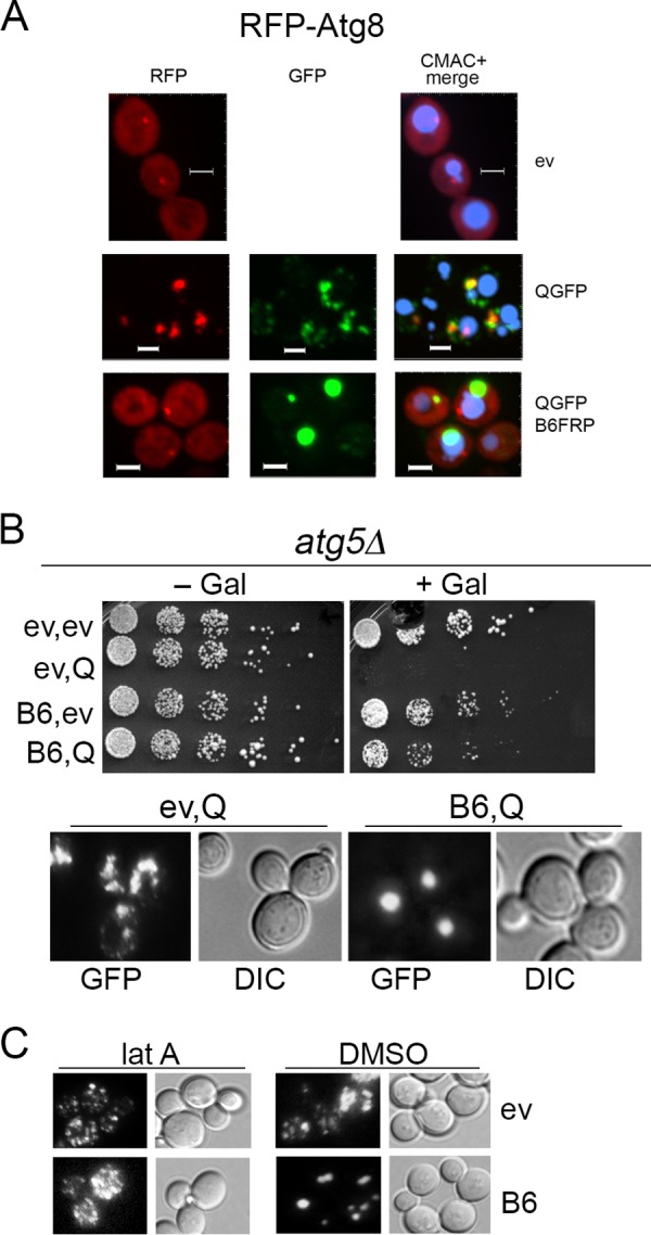 FIG 4