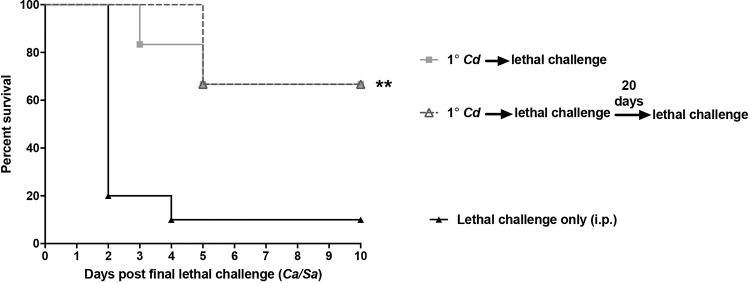 FIG 3