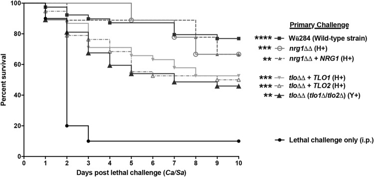 FIG 2