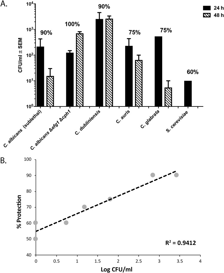 FIG 6