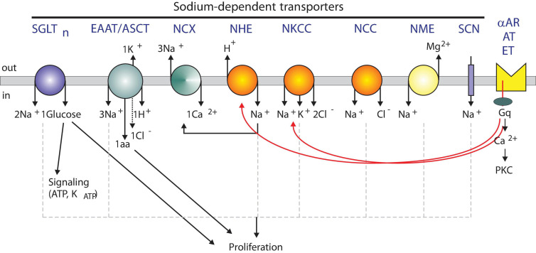 FIGURE 1