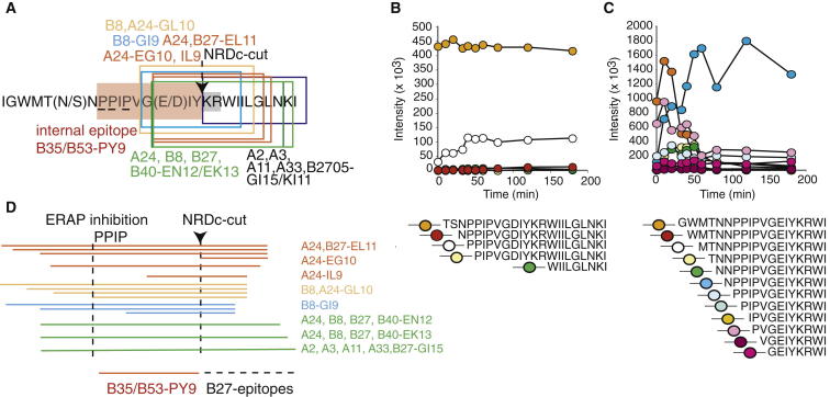 Figure 5