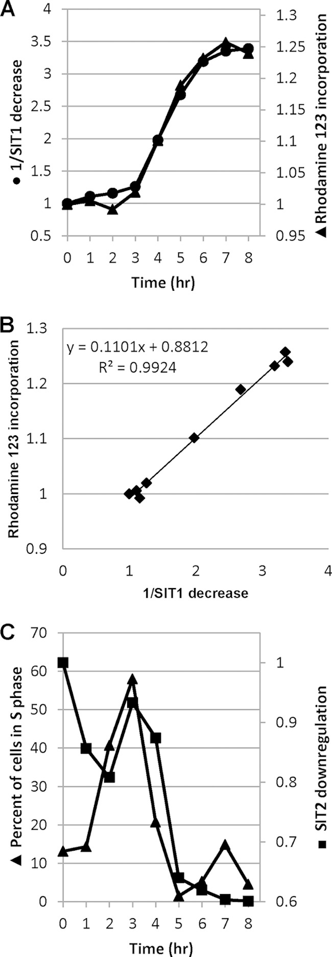 FIG 5