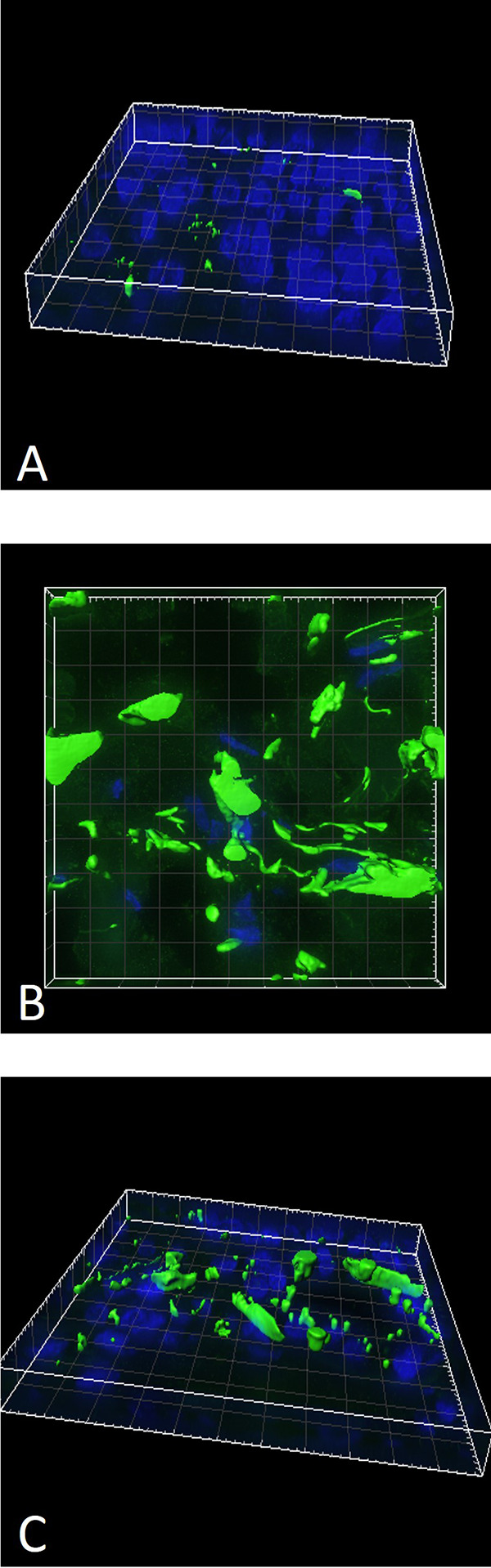 Figure 3.