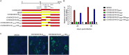 FIG 6