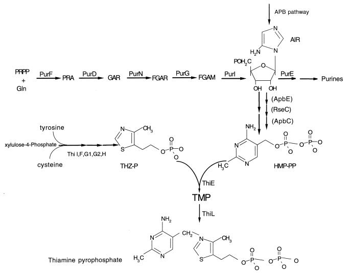 FIG. 1