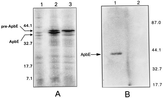 FIG. 3