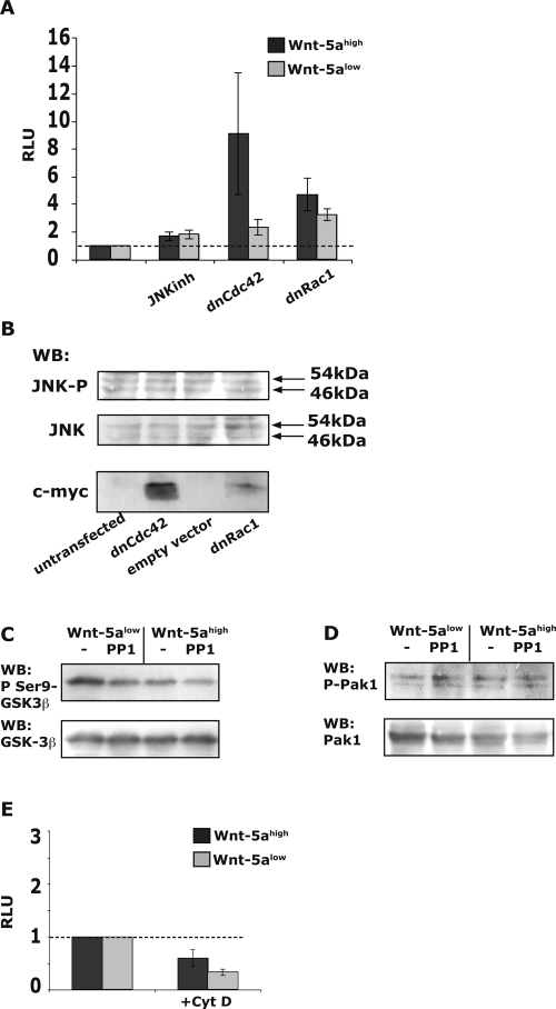 FIG. 6.