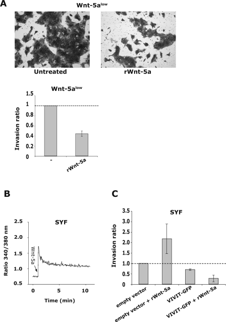 FIG. 8.