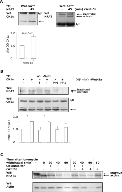 FIG. 7.