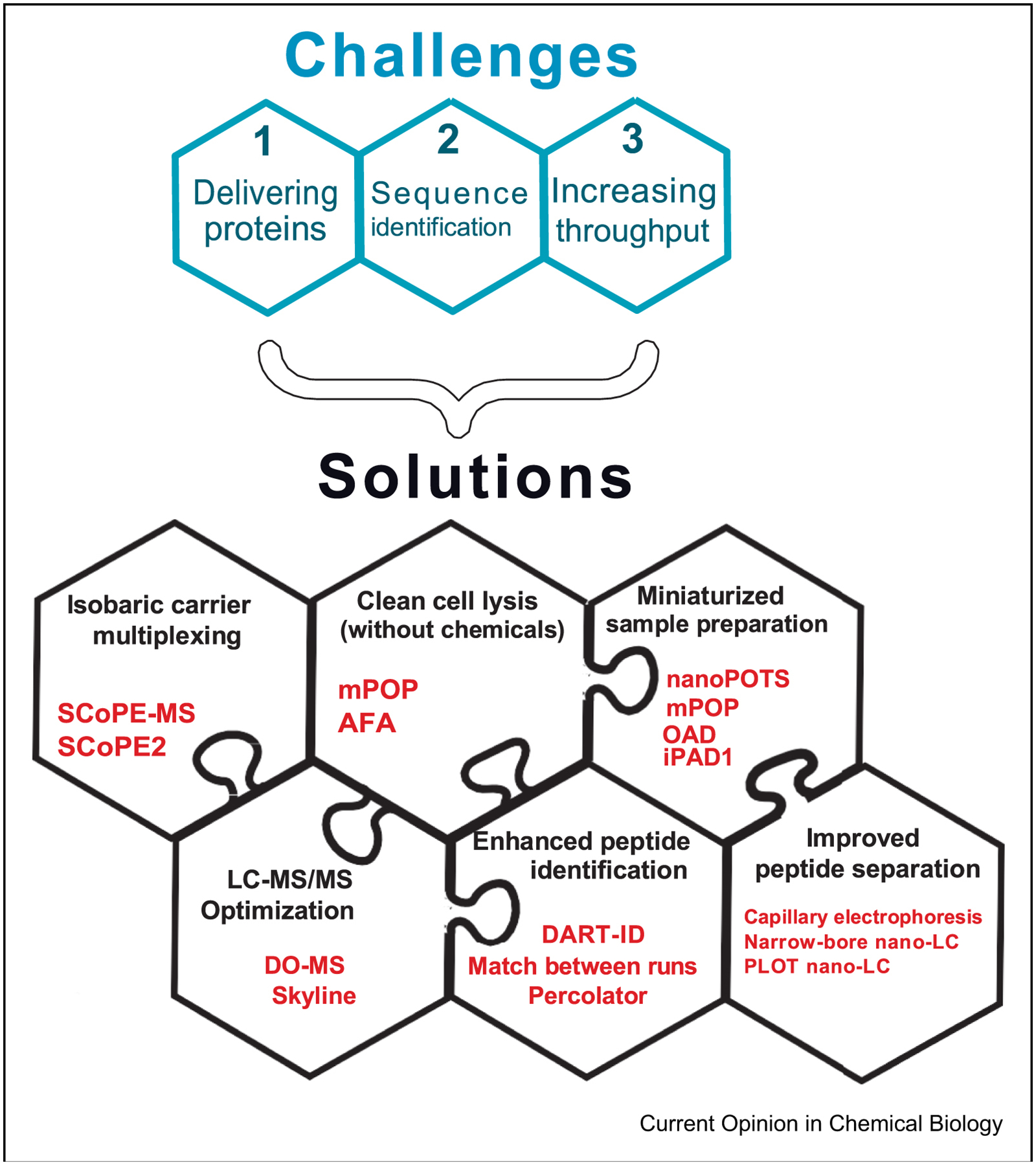 Figure 1|