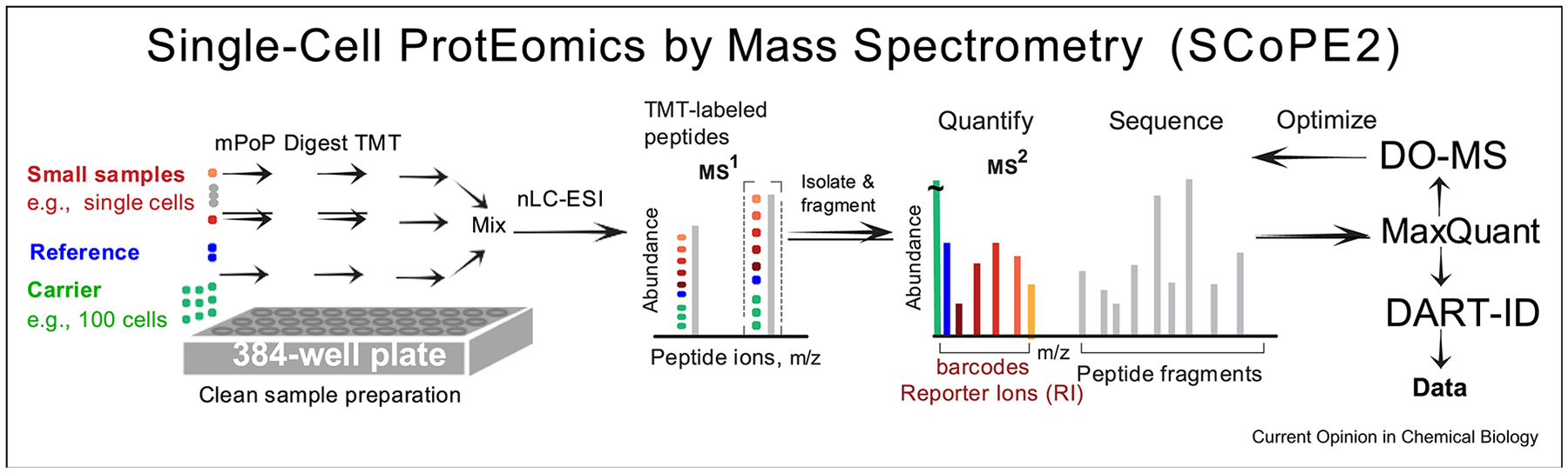 Figure 2|