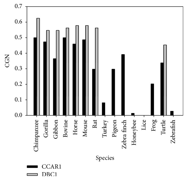 Figure 5