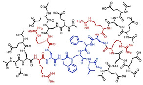 graphic file with name nanomaterials-10-02022-i013.jpg