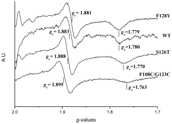 Figure 5