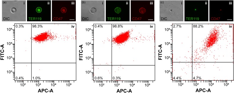 FIG. 3.