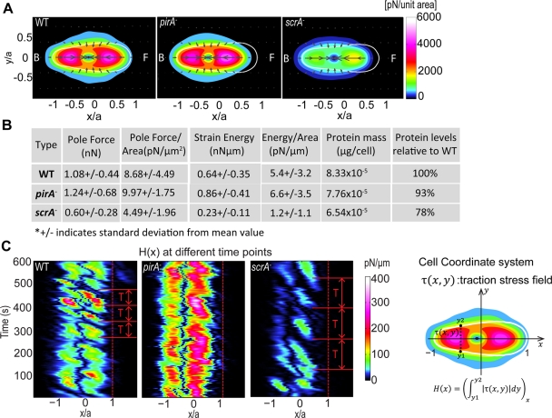 FIGURE 4: