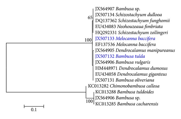 Figure 1