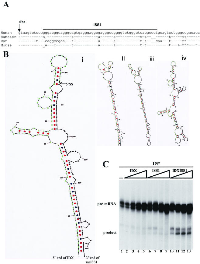 FIG.8.