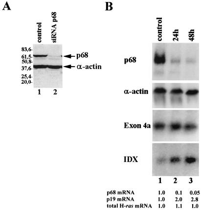 FIG. 7.