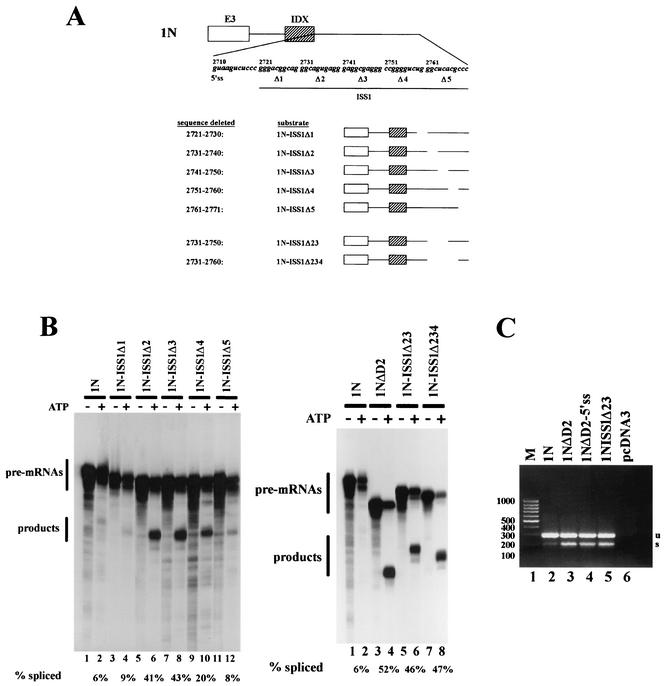 FIG. 2.