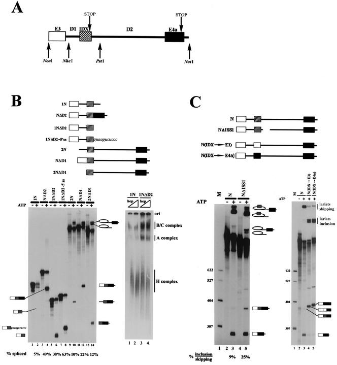 FIG. 1.