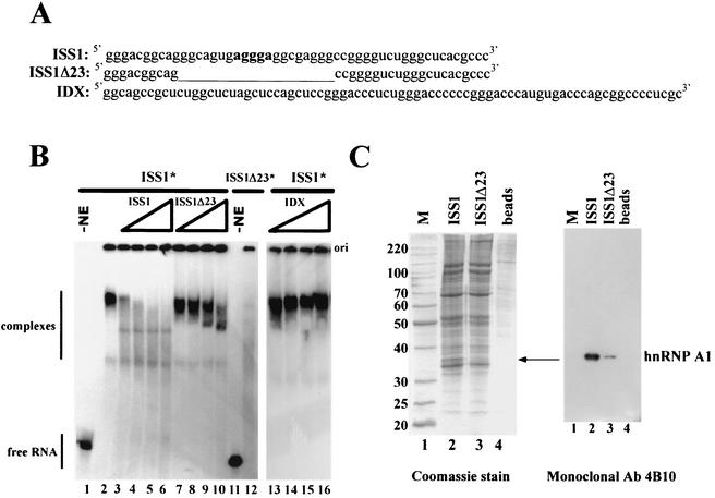 FIG. 3.