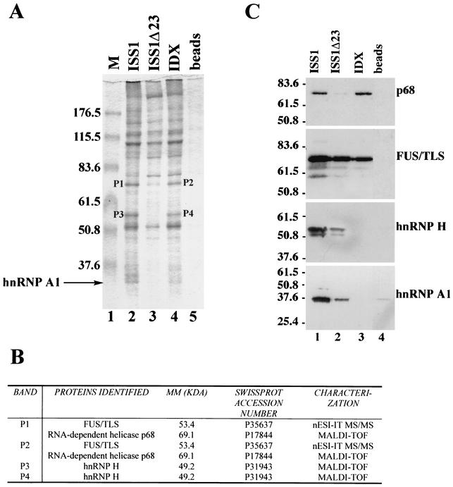 FIG. 6.