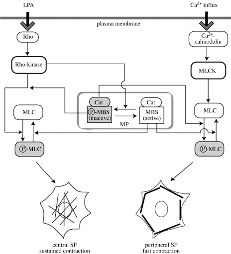 Figure 2.