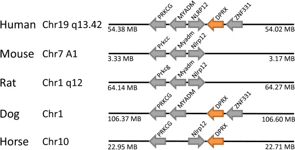 Figure 11