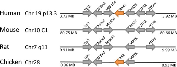 Figure 13