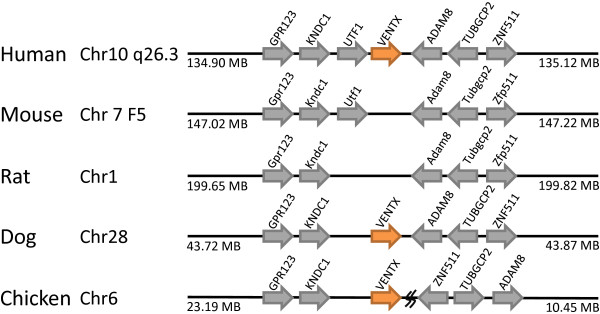 Figure 9