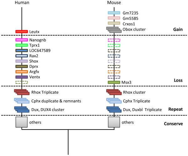 Figure 15