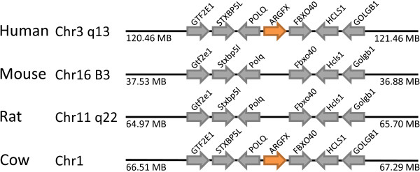 Figure 10