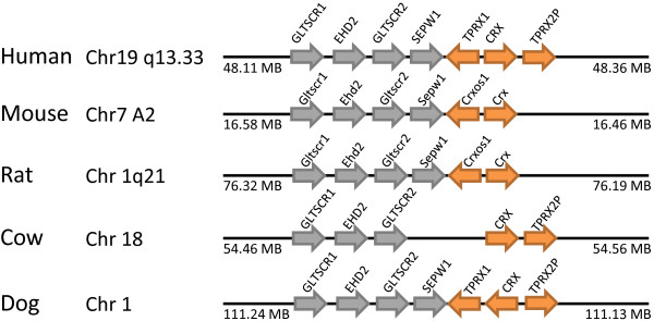 Figure 14