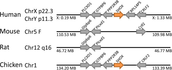 Figure 12