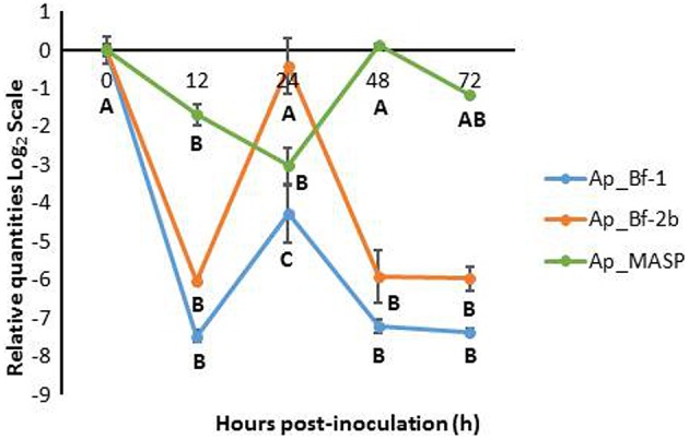 Figure 7