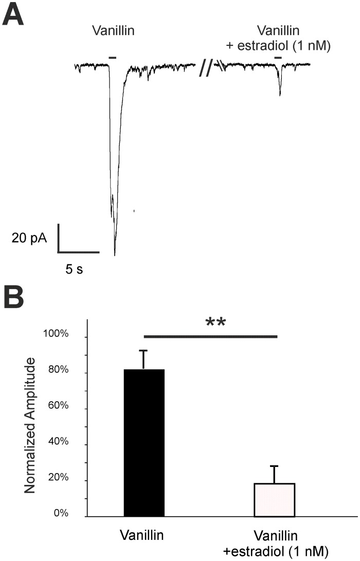 Fig 9