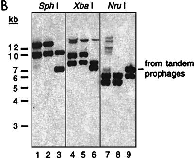 FIG. 6