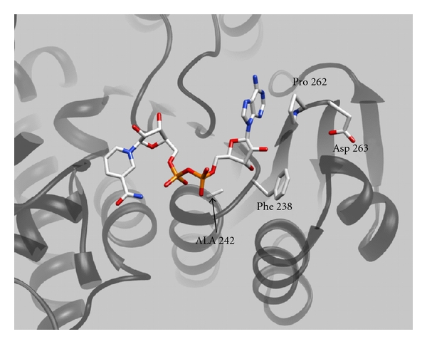 Figure 1