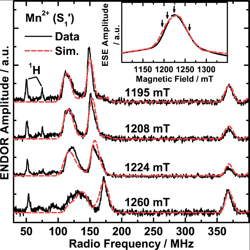 FIGURE 4.