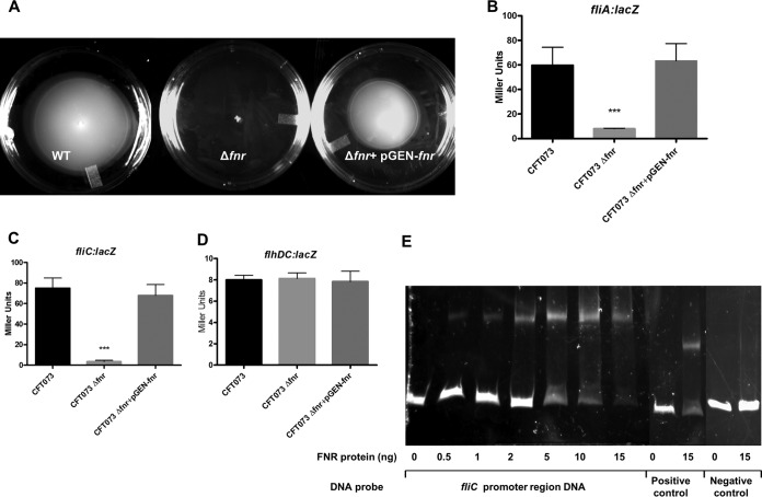 FIG 6